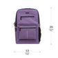 TRAVELER SMELL PROOF LOCKING BACKPACK